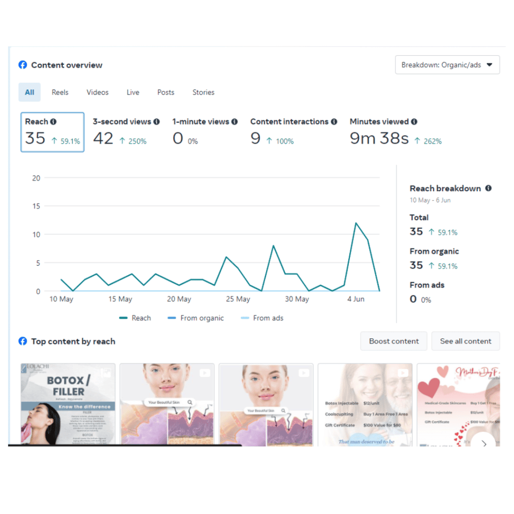 organic social media growth