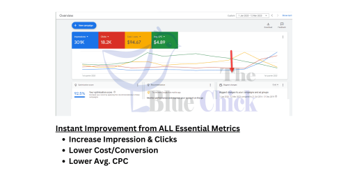 Google Ads Performance Optimization